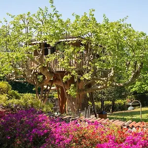 Dream Tree House Glamping Côme